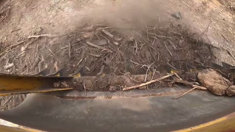ROOT RAKE