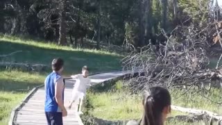 Bison Attack