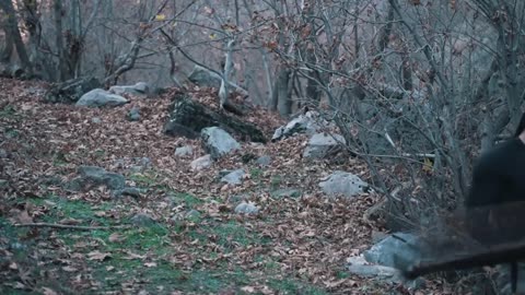 Most İnteresting Fishing Technique / Unbelievable / Big Fish