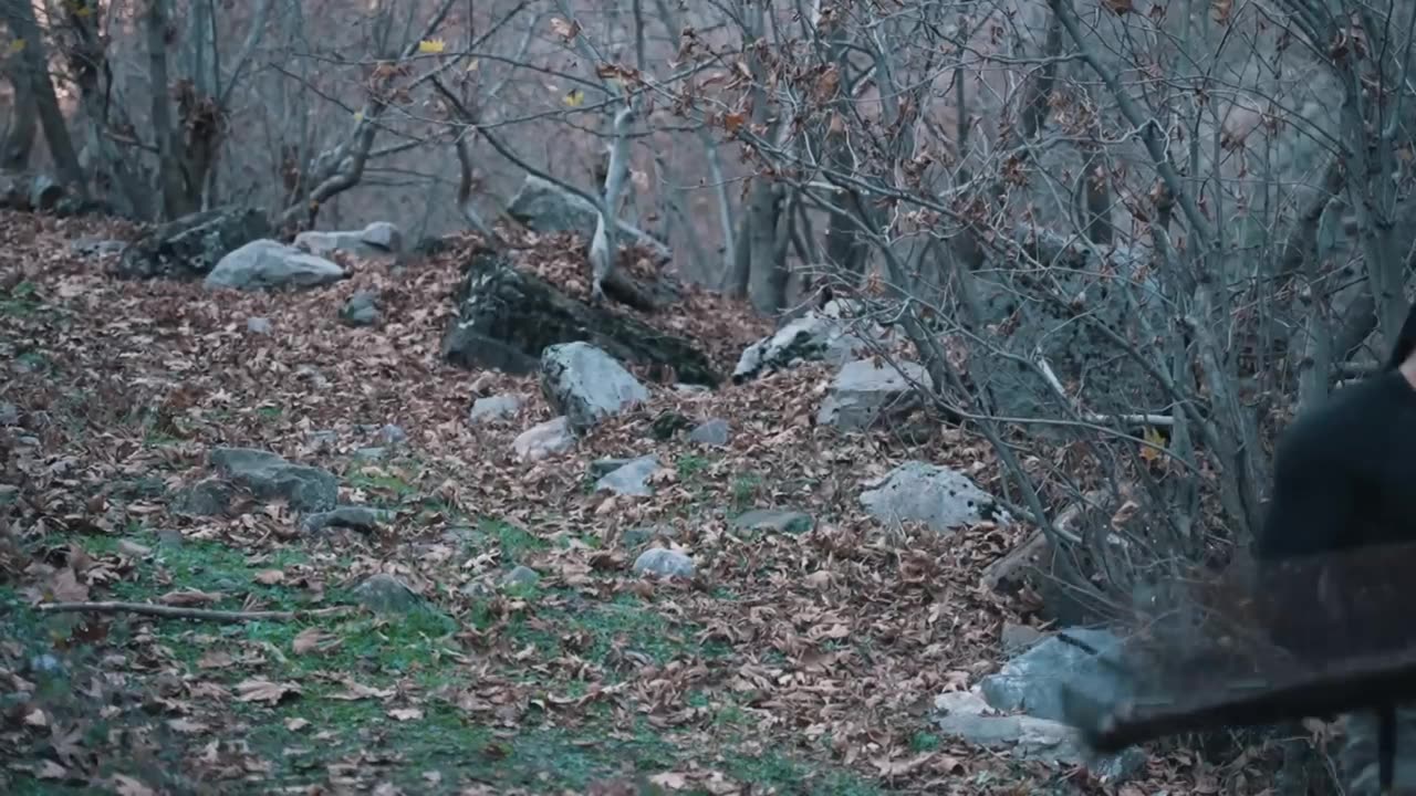 Most İnteresting Fishing Technique / Unbelievable / Big Fish