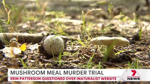 Accused triple murderer denies visiting iNaturalist website - 7NEWS Australia