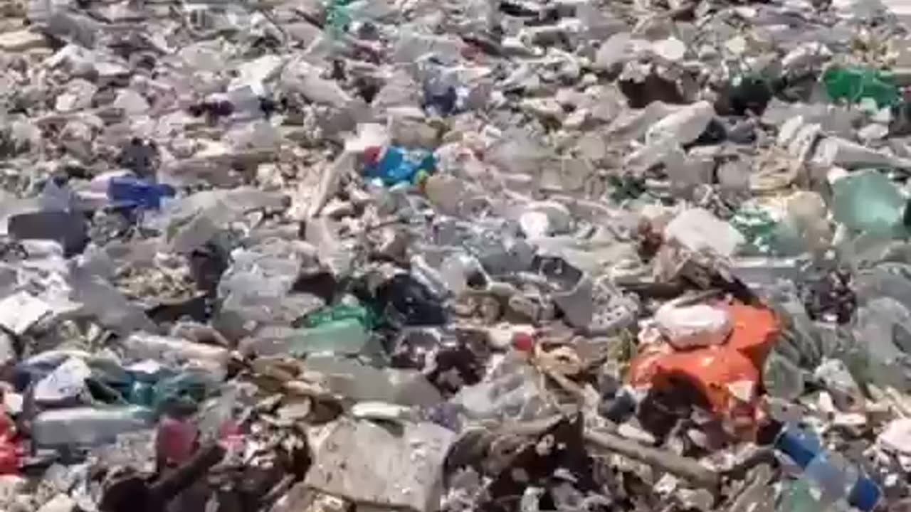 This is Asia. Where is Greta?