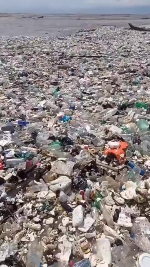 This is Asia. Where is Greta?