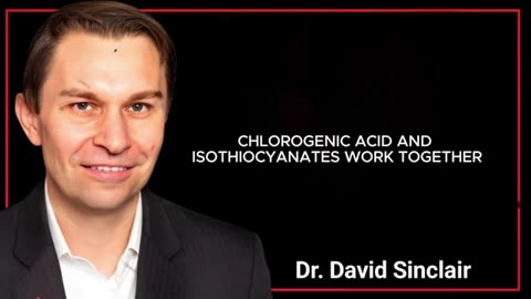 Daily Moringa Powder