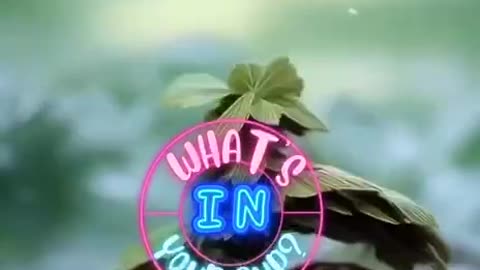 The Chosen Ones and God