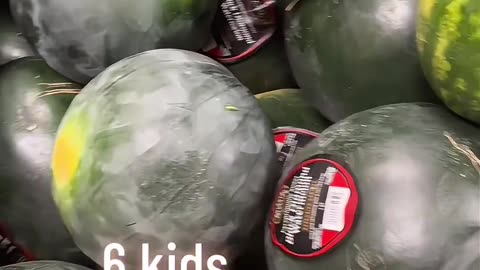 Wall Street Apes - Woman on EBT Food Stamps shows you what it’s like to shop for 6 kids....