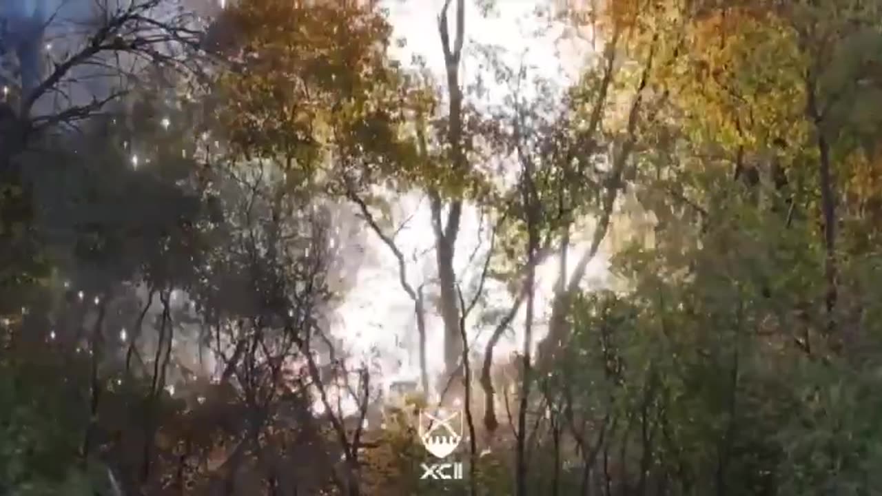 🐉🔥 Ukrainian "Dragon-Drone"