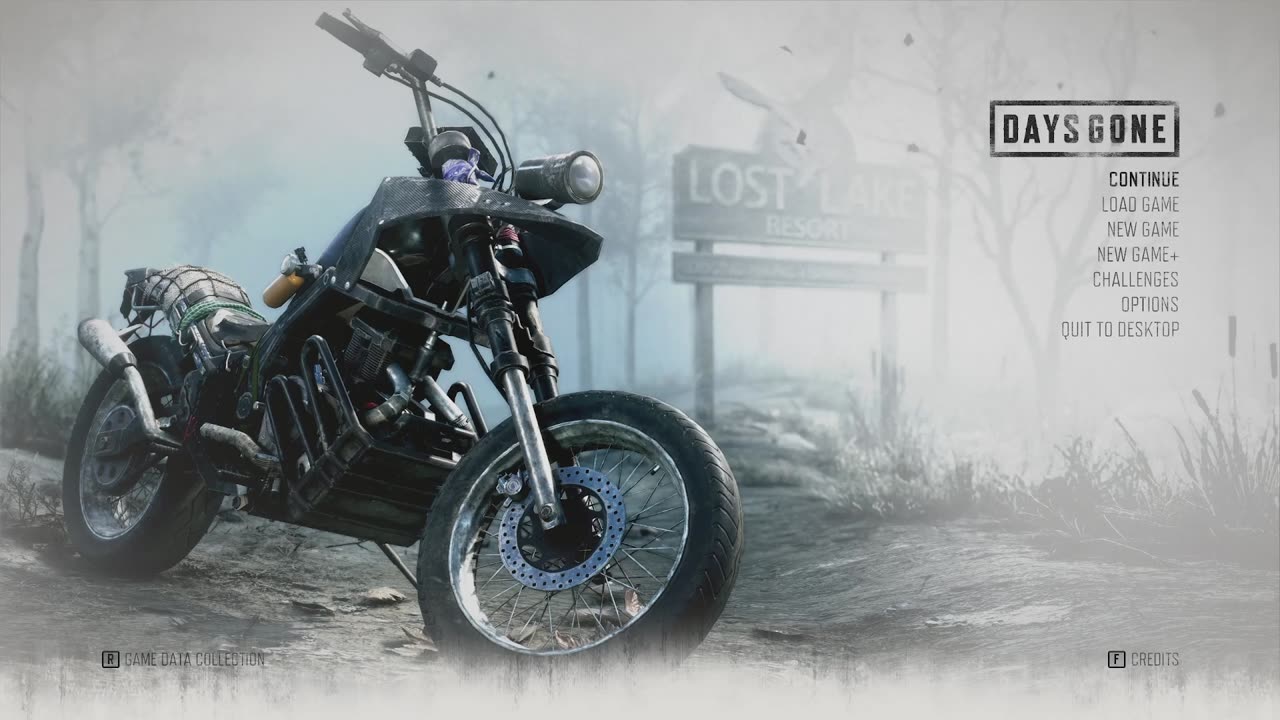 Days Gone - 14