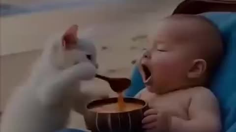 Ai generated video of cutest little kid and cute cat