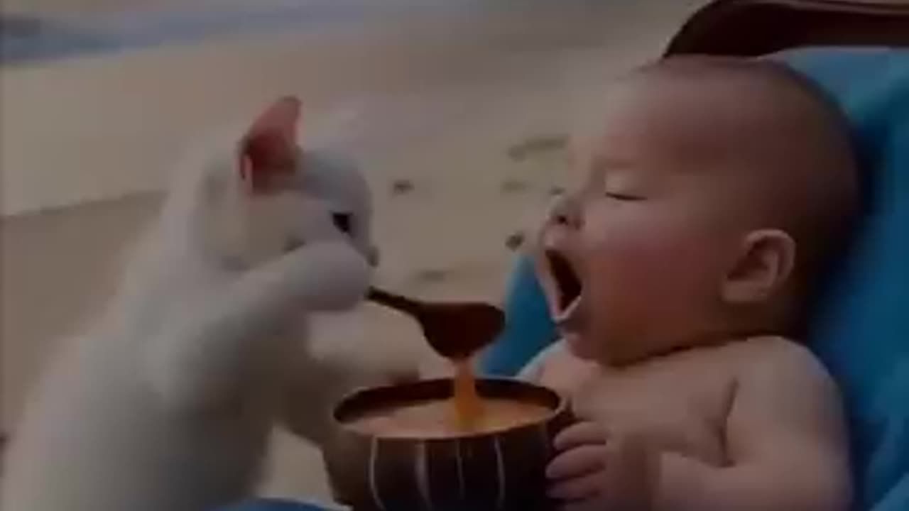 Ai generated video of cutest little kid and cute cat