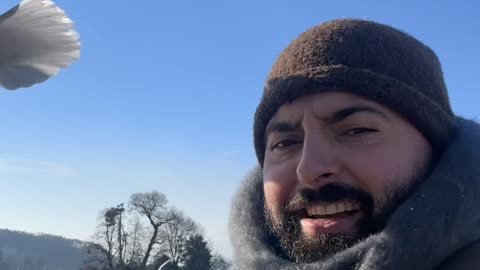 Seagulls Accept Him as One of Their Own