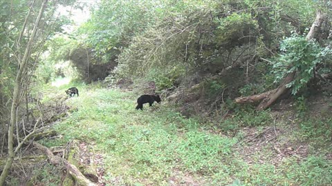 OIL WELL TRAIL 8-24-25
