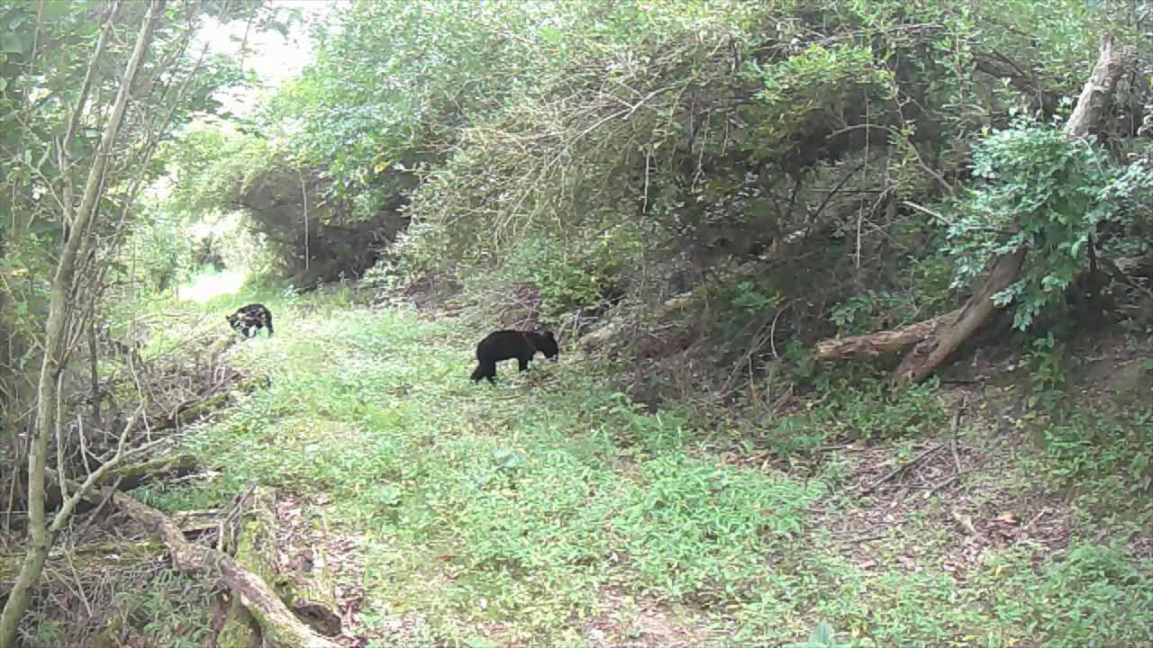 OIL WELL TRAIL 8-24-25