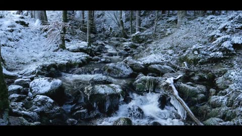 Stream via RTMP (OBS, Vmix, Zoom) with Restream