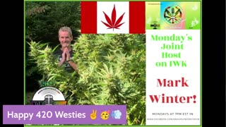 Tokin Tuesdays on the IWK 710 Daily Sesh