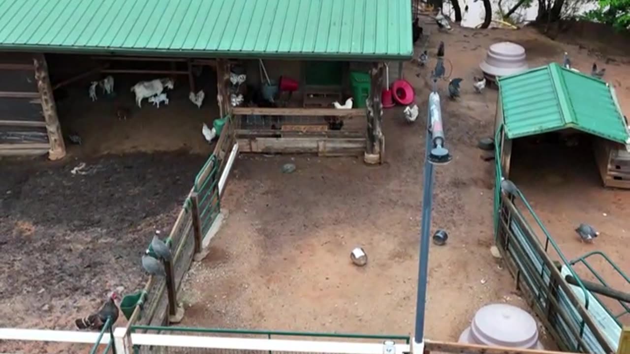 After the rain, our small pond is bigger!!!