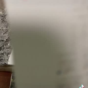 Tim Rifat TikTok Videos