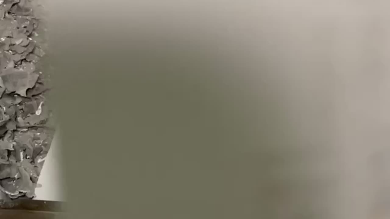 Tim Rifat TikTok Videos