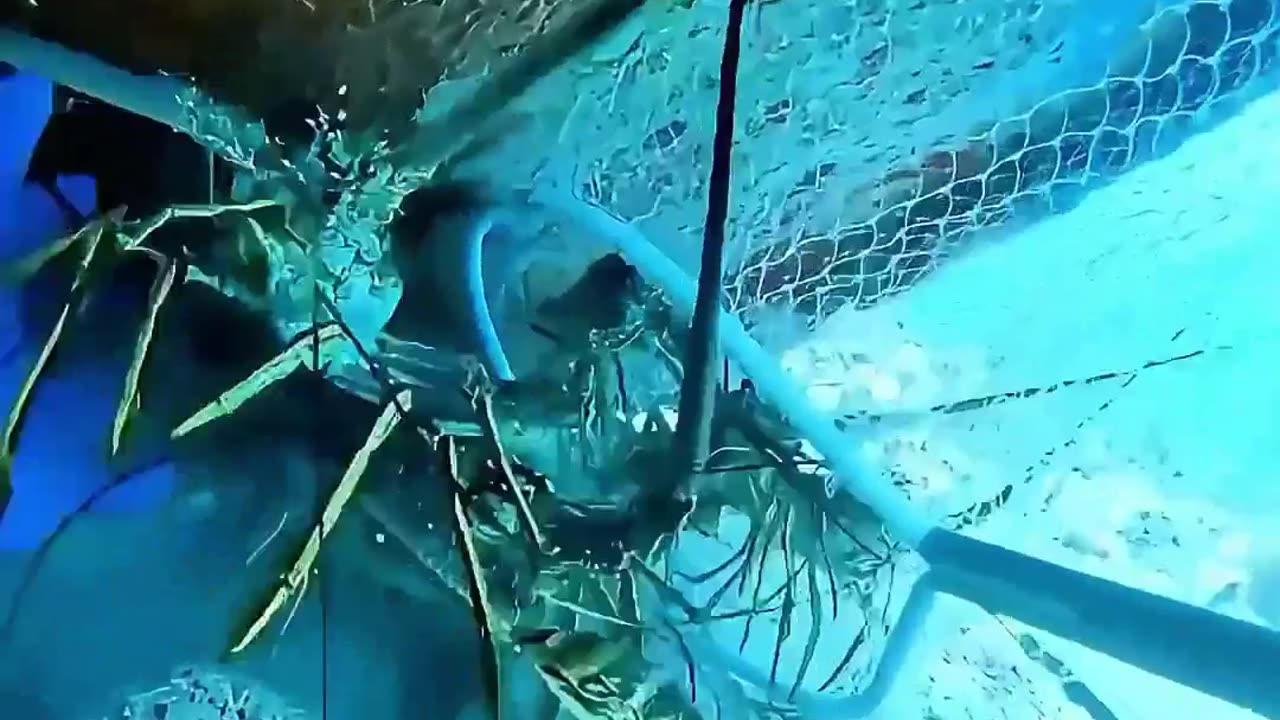 Stunning images and colors of the seabed that will leave you speechless