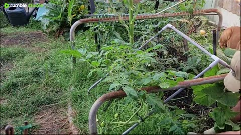 Join me in the garden 🌱 I'm doing some tasks that I've been putting off