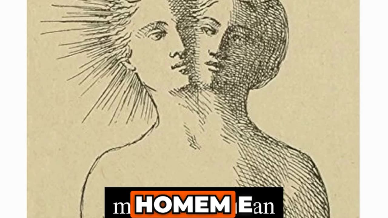 A Alquimia de Rowling Do Andrógino à Agenda