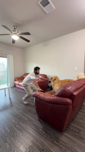 The Golden Sock Stealer