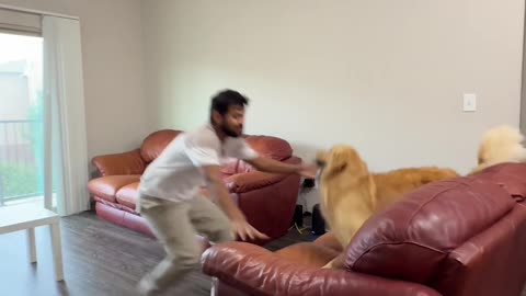 The Golden Sock Stealer