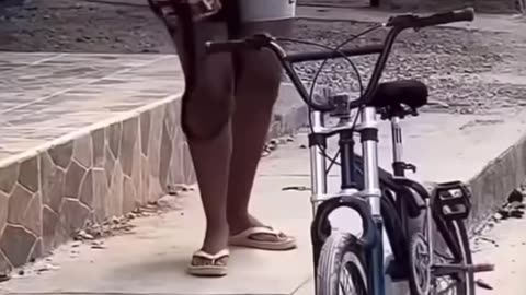 Funny videos
