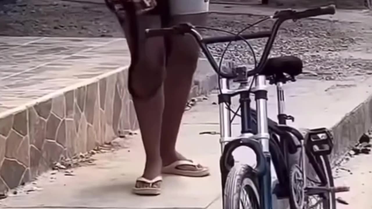 Funny videos