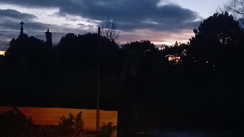 URGENT : Alternate letter to MP from AI