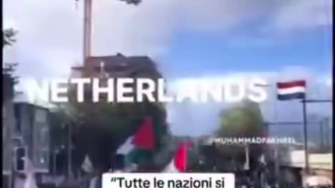 Si sveglino le coscienze, ovunque nel mondo, per Gaza e la Palestina.