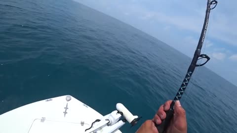pesca a pesci grossi o b1 grande squalo martello_part20