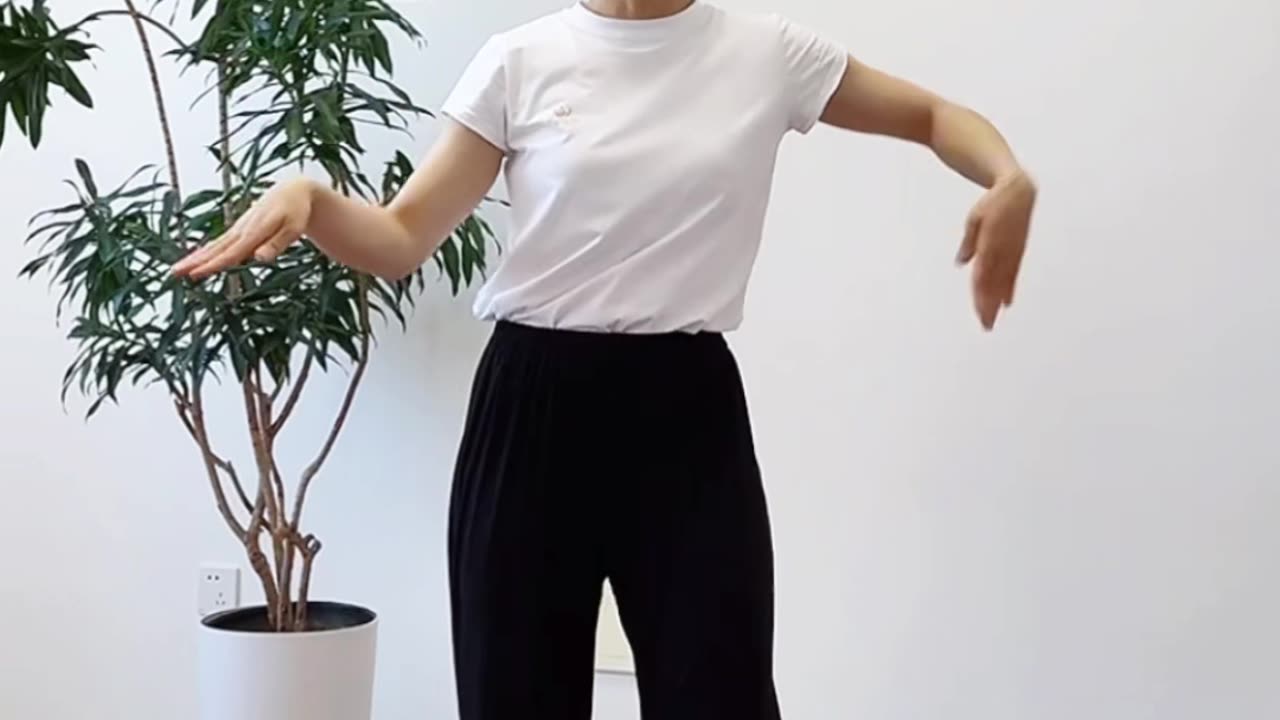 882.鏈動性發力訓練