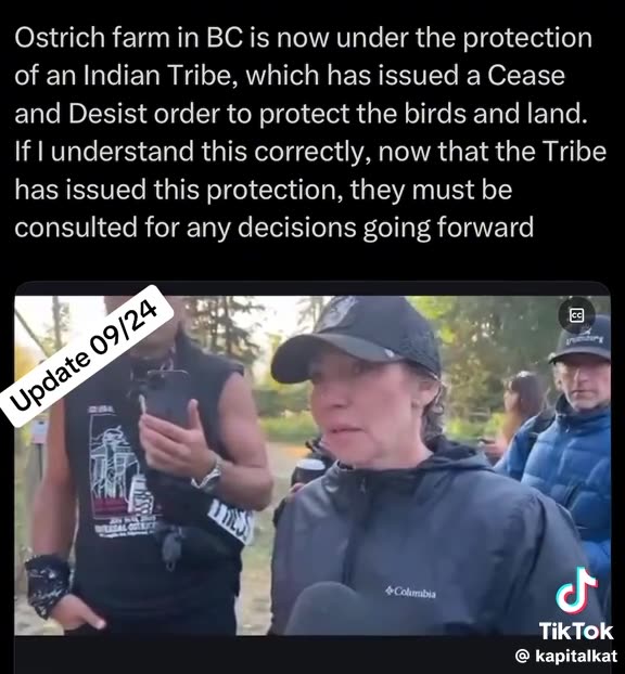 Ostrich farm in BC is now under the protection of an Indian Tribe