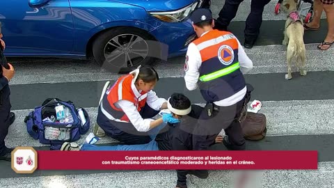 Lesionado atropellado | #C5CorazónDeLaCDMX