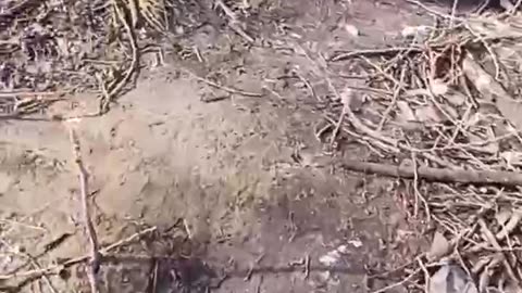 Ukrainian soldiers