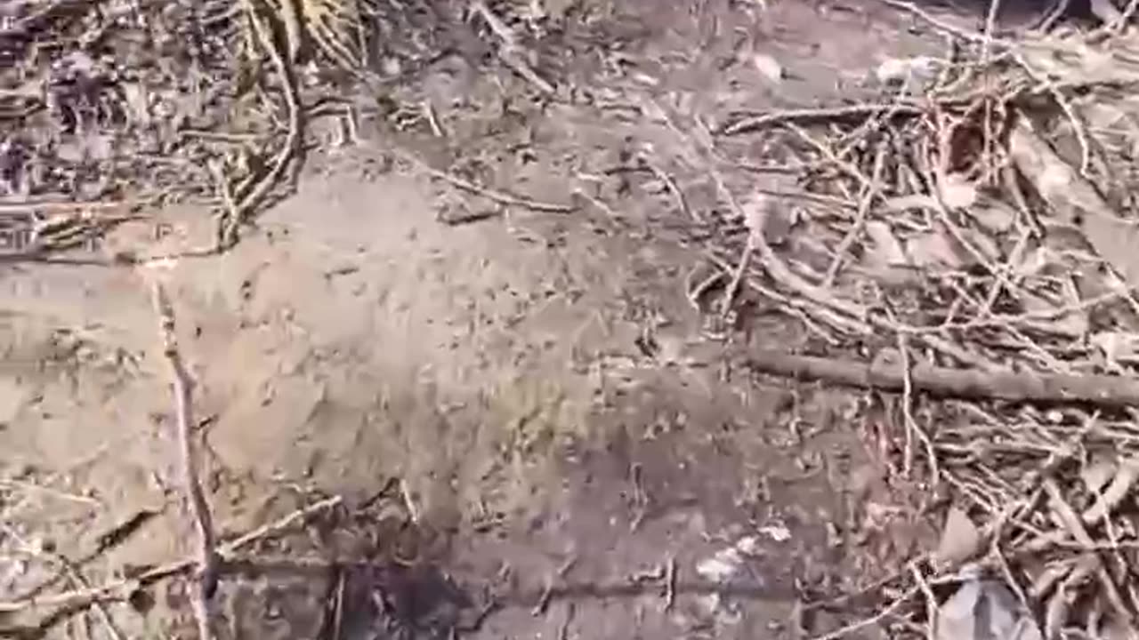 Ukrainian soldiers
