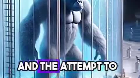 King Kong found frozen in Ice Cave
