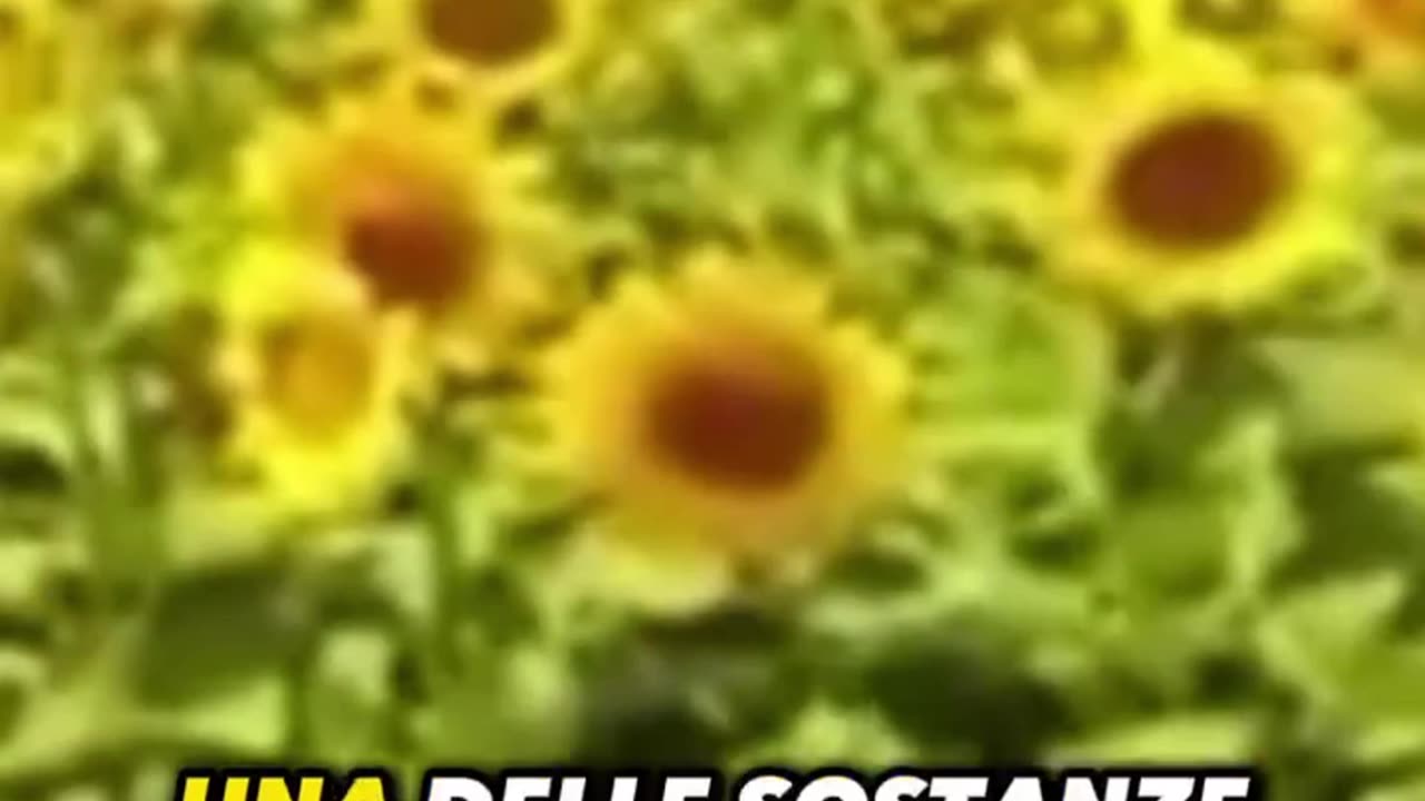 I benefici dell'esporsi alla luce solare