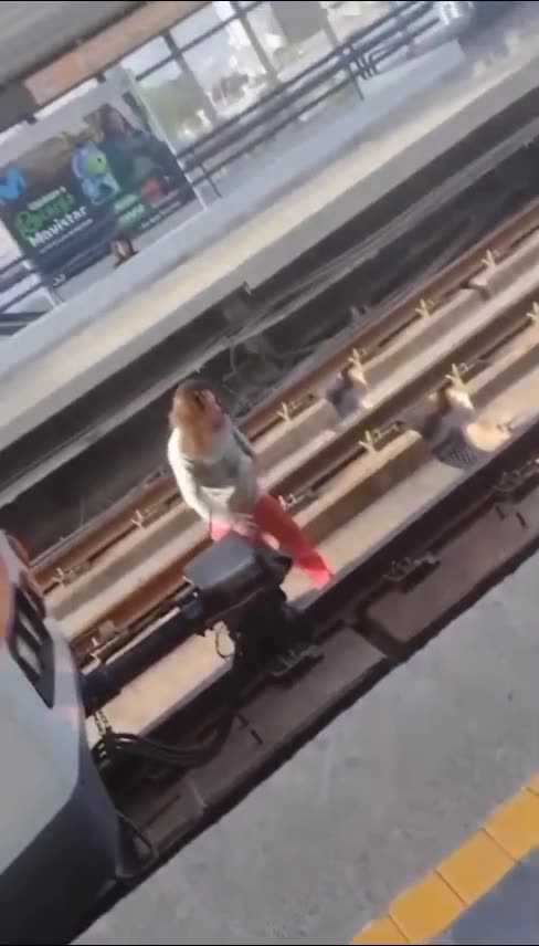 Mujer casi es arrollada por un tren