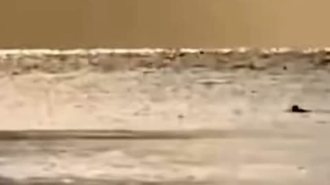 Breaking News‼️Strange SEA CREATURE Caught On CAMERA ATLANTIC OCEAN!