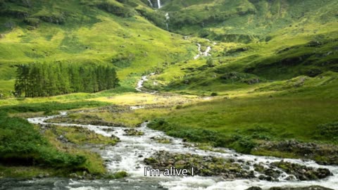 ALIVE SONG