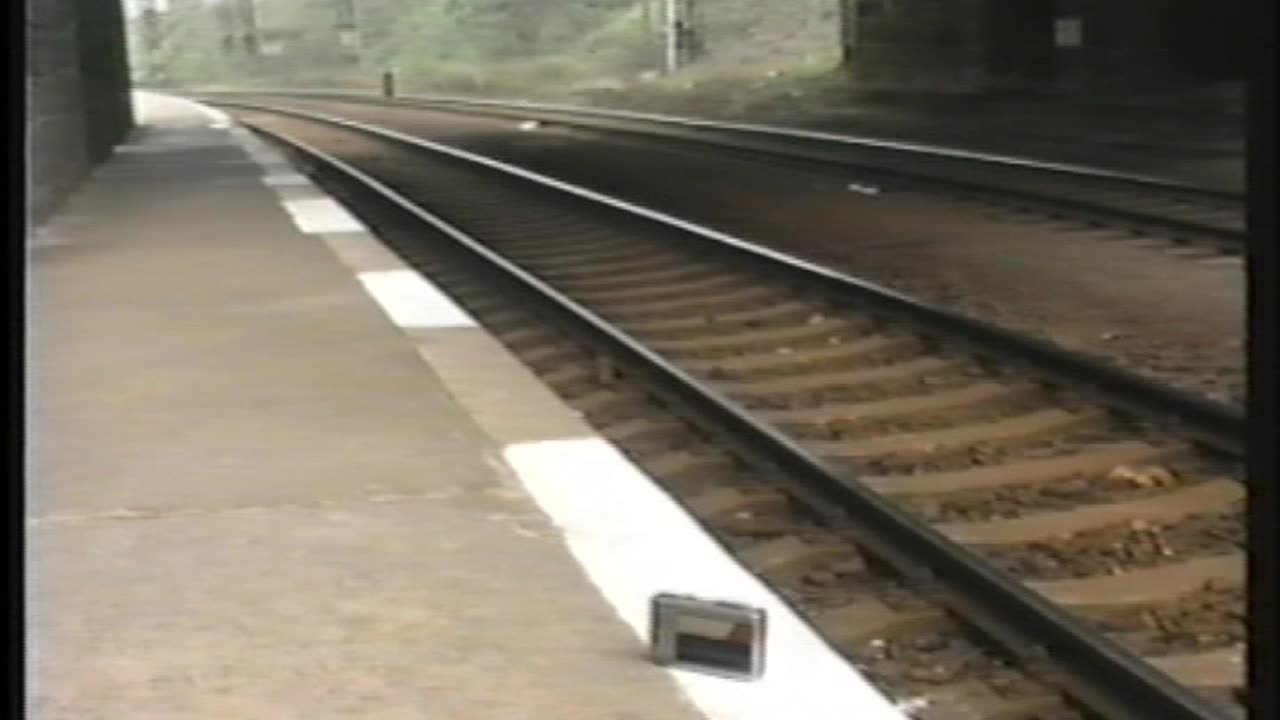 Milan Kohout, Miroslav Capek, 1999