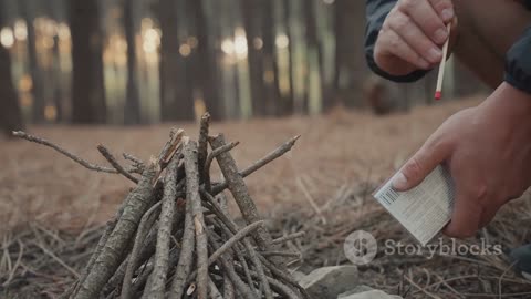 Jungle Survival- Animated Adventure!
