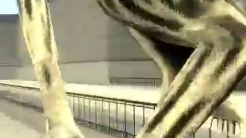 Tatatata Sahur vs Brr Brr Patapim - Zoonomaly Monsters
