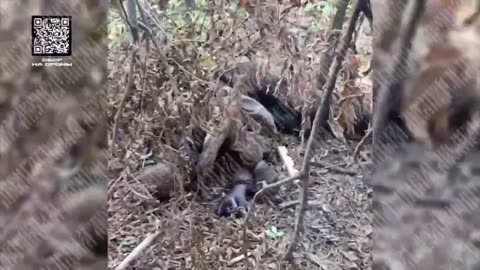 Ukraine war combat footage 8/6/25