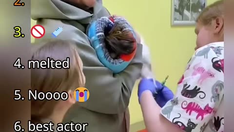 Ranking Best Dogs in Vet Moments😀😉