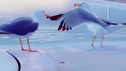 Love is life