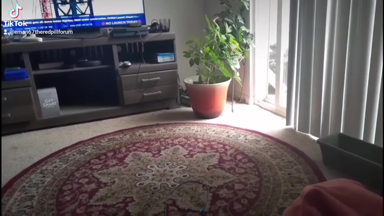 Alpha fucks, beta $$$