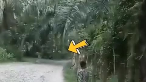 Real Ghost Caught on Camera